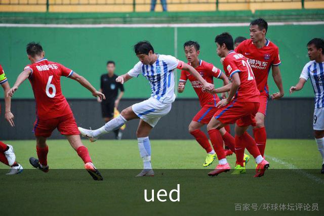 ued公司简介